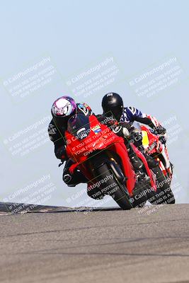 media/Oct-06-2025-2WTD (Mon) [[90522c3a0b]]/B Group/1120am (Grapevine)/